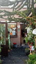 [Foto]