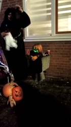[Foto]