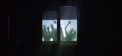 [Foto]