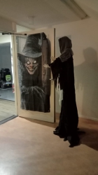 [Foto]