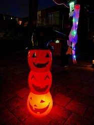 [Foto]