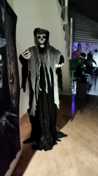 [Foto]