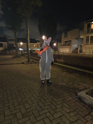 [Foto]
