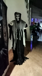 [Foto]