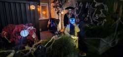 [Foto]