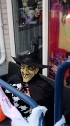 [Foto]